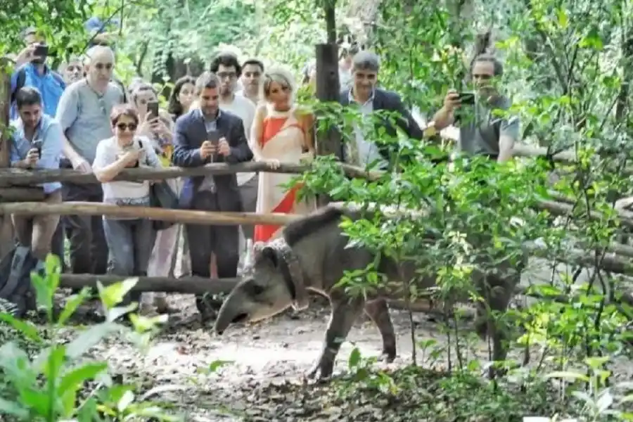 No se pudo confirmar cómo mataron a Suyana