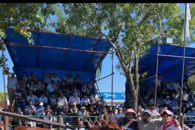 Grandes Campeones del Congreso Mundial Brangus