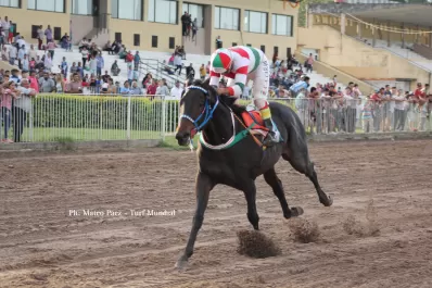 Turf: Pertinax Joy se recuperó con un gran triunfo