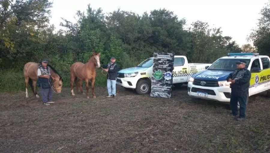 Burruyacú: robaron dos caballos valuados en $300.000