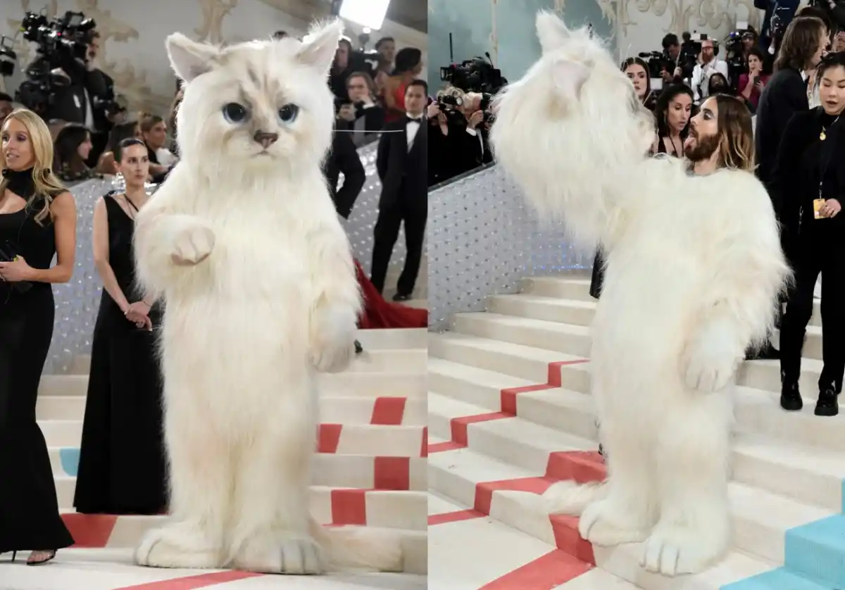 Fotos: los mejores y más excéntricos looks de la famosa Met Gala