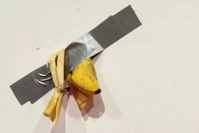 Un estudiante se comió una banana pero era una obra de arte valuada U$S 120.000: “No había desayunado”