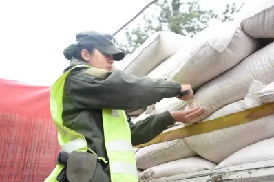 Gendarmería decomisó 394 toneladas de granos en la frontera con Bolivia