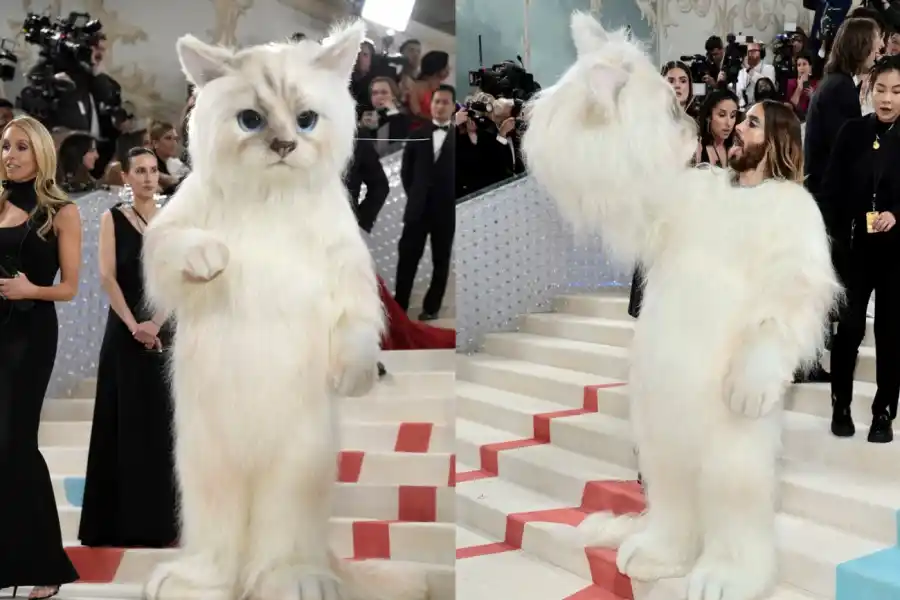 Fotos: los mejores y más excéntricos looks de la famosa Met Gala
