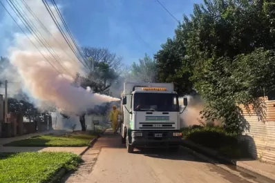 Sigue alta la curva de contagios de dengue en Tucumán: ya hubo 23.400 casos