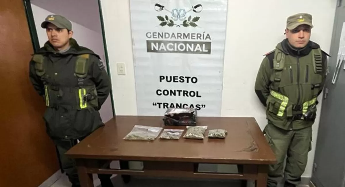 Gendarmería secuestró una importante cantidad de marihuana