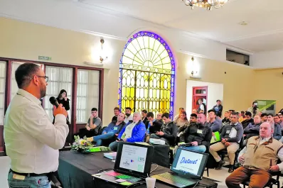 Las claves del éxito del cultivo de la palta