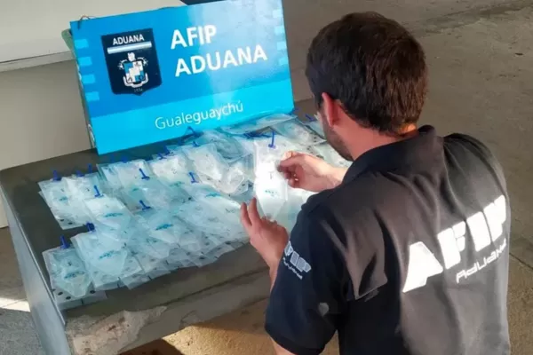 Un ciudadano uruguayo intentaba salir de la Argentina con 6 litros de semen porcino