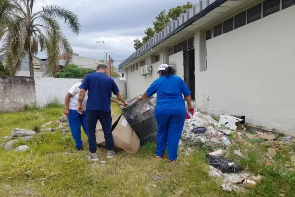 Qué productos domiciliarios sirven para controlar el dengue