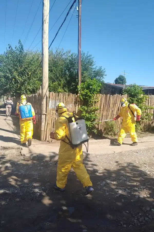OPERATIVO. En cada recorrido, los agentes sanitarios ayudan a los vecinos a combatir el mosquito Aedes. prensa municipalidad