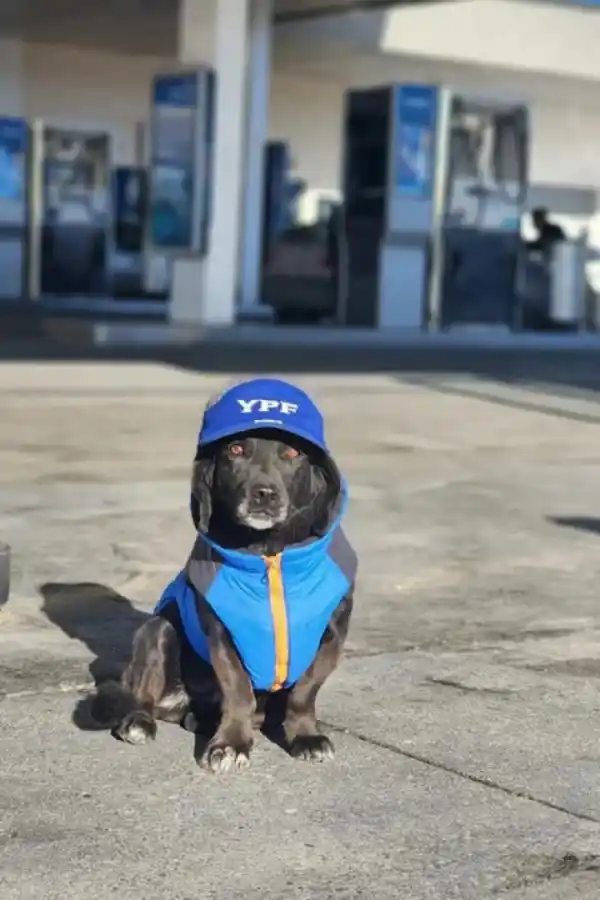 Mentirita, lista para trabajar