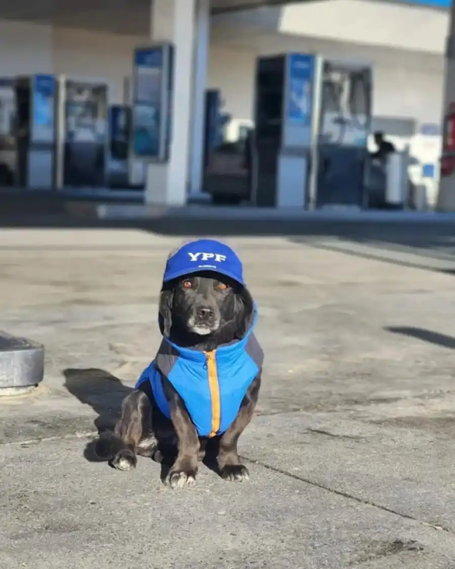 Mentirita, lista para trabajar