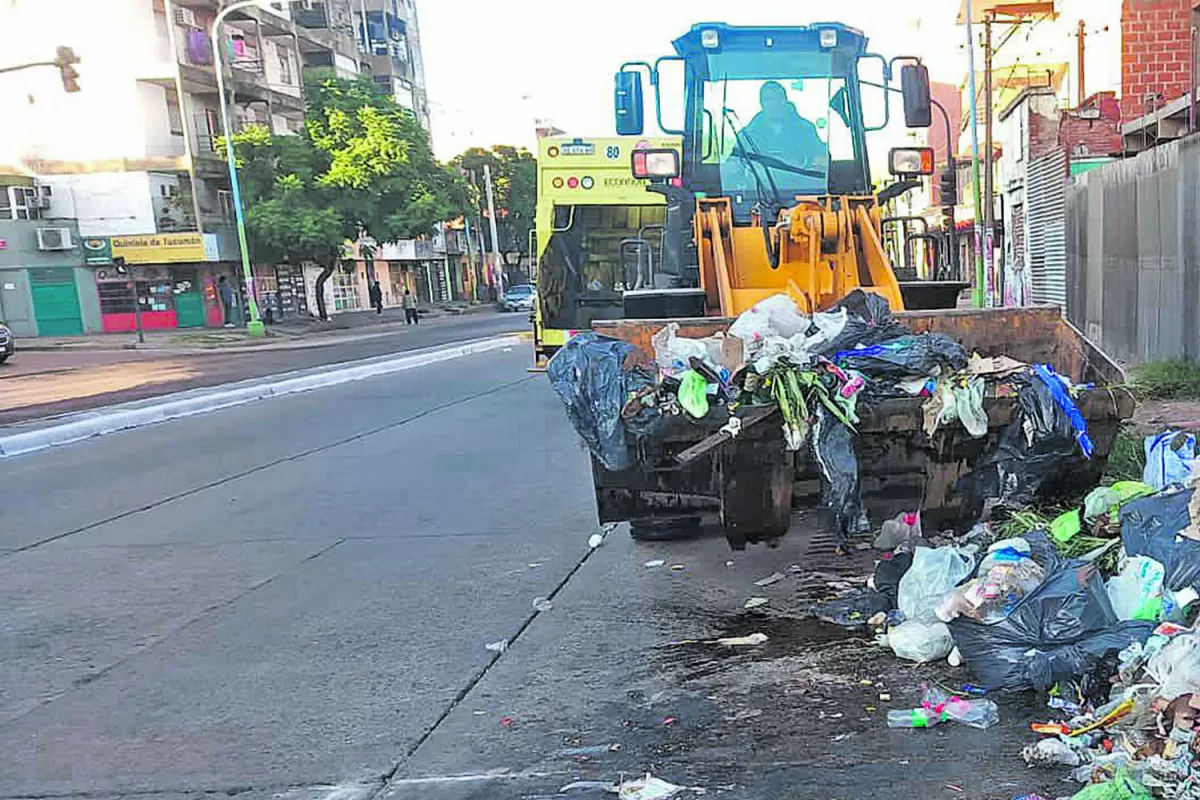 Basurales: dónde denunciar