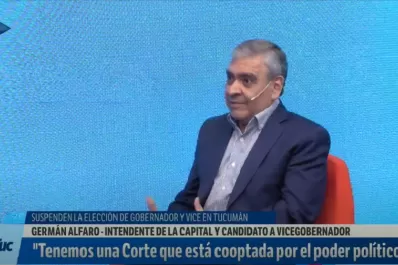 Alfaro sobre la suspensión de las elecciones: Este fallo es un cachetazo para la Corte de Tucumán
