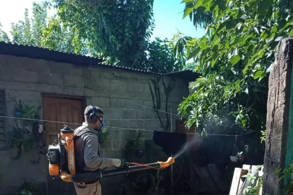 Tucumán tiene un 70% más de casos de dengue que en 2020