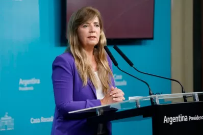 Cerruti, contra el Poder Judicial: Trata de avanzar sobre los otros poderes