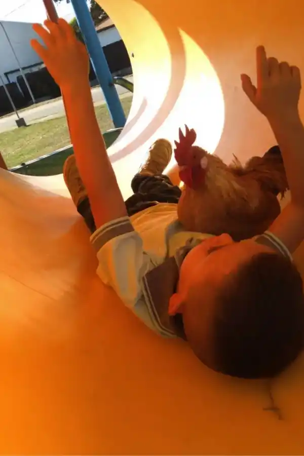 (Foto: Gentileza Daniel Arévalo)