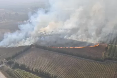 Nueva zafra, y el enemigo de siempre: el fuego