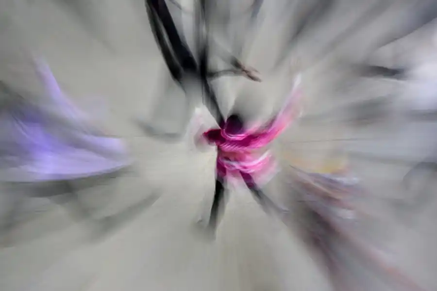 A PURO MOVIMIENTO. Con saltos y giros, el tinku se baila en comunidad. INSTRUMENTOS CEREMONIALES. LA GACETA / FOTO DE FRANCO VERA.