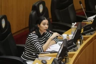 No hace falta modificar la constitución para desterrar los acoples, dijo Nadima Pecci