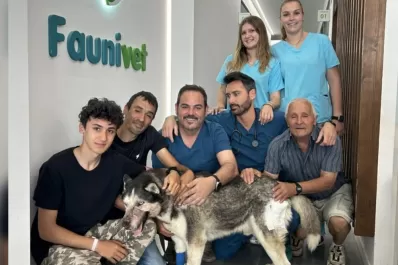 La emotiva historia de Rex, el perro que nadie quería operar y se salvó gracias a TikTok