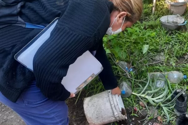 Volvieron a aumentar los casos de dengue en Tucumán
