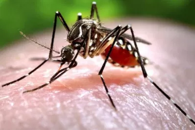 Lules: realizan un operativo contra el dengue