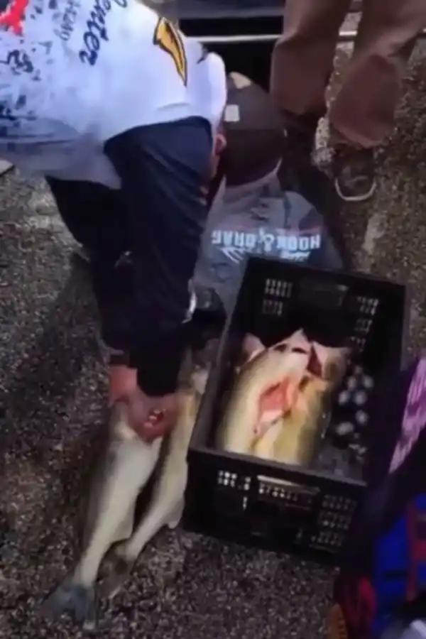 Los peces parecían pesar más de lo que aparentaba y generó sospechas.