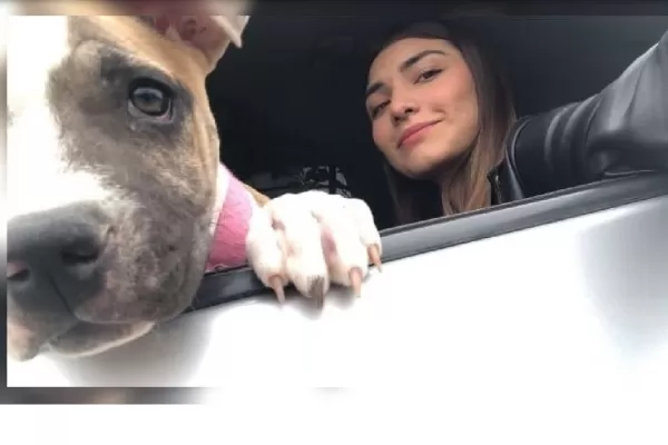 La historia de Camila, la perrita que murió de tristeza dos días después que su dueña