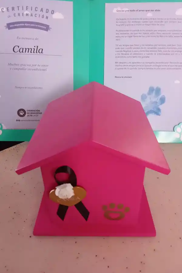 Camila, la perrita que murió de tristeza dos días después que su dueña