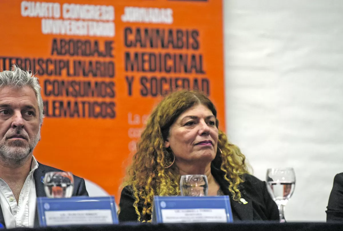 AL FRENTE DE LA SEDRONAR. Gabriela Torres dirige la entidad nacional.