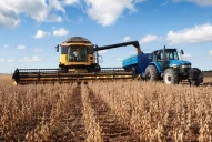 La cosecha de soja caería el 53%, respecto del promedio quinquenal