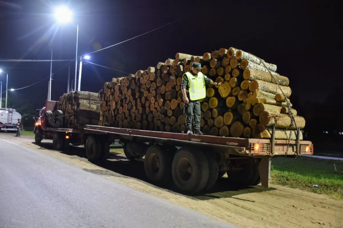 Secuestran 80 kilos de hojas de coca en un automóvil y 375 rollos de madera trasladados en un camión