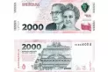 Billete de $2.000: qué novedad de diseño tiene y cómo detectar los que son falsos