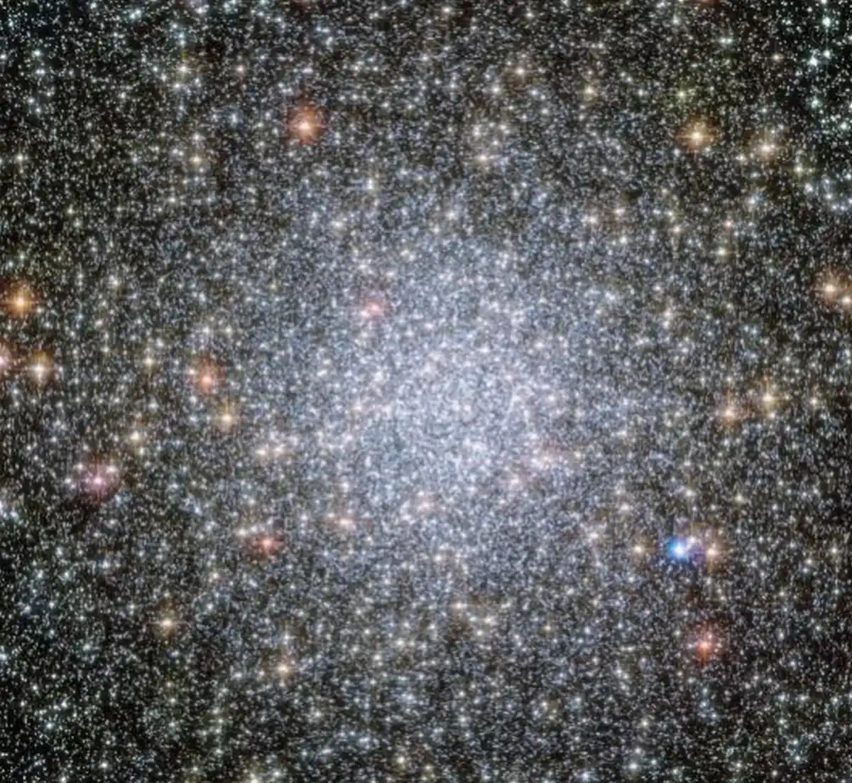 El homenaje de la NASA a Tina Turner