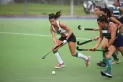 Hockey: el “verdinegro” estira su buen momento