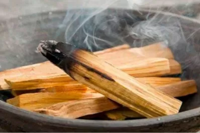 Por qué es importante tener un Palo Santo en nuestro hogar y cómo utilizarlo correctamente