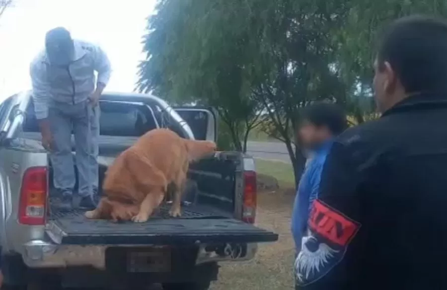 Un can antinarcóticos encontró 97 kilos de cocaína ocultos en un doble fondo de una camioneta