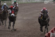 Turf: Pertinax Joy, la gran figura del domingo