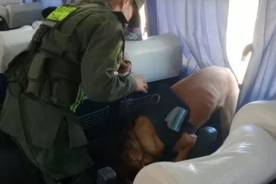 Narcotráfico: fueron secuestradas, abusadas y amenazadas para trasladar drogas