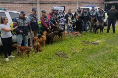 Rescatan a 13 perros que eran maltratados