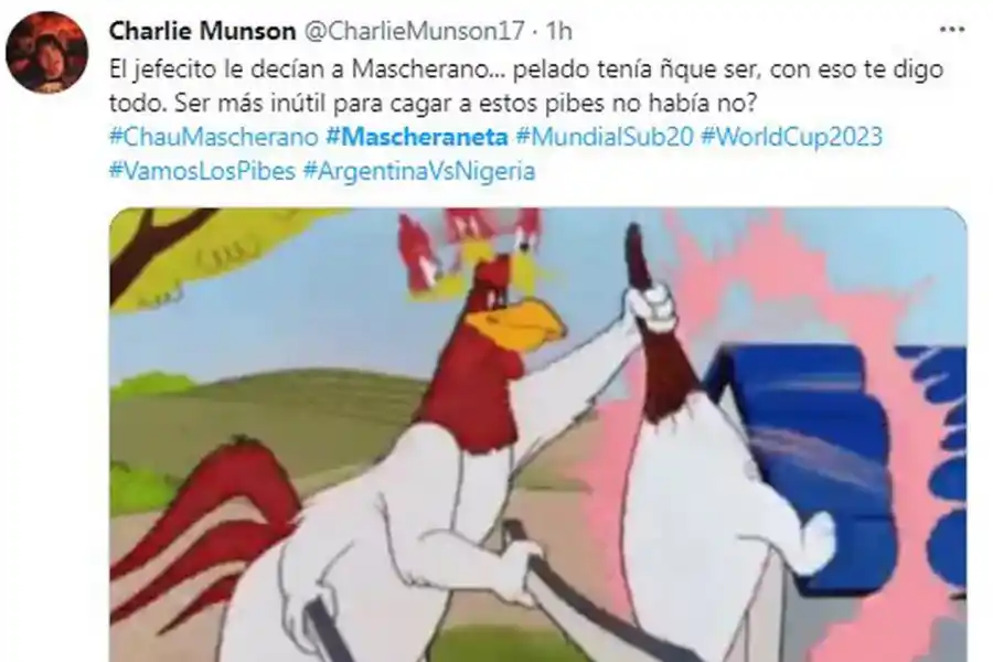 Mundial Sub-20: la indignación en las redes con Javier Mascherano