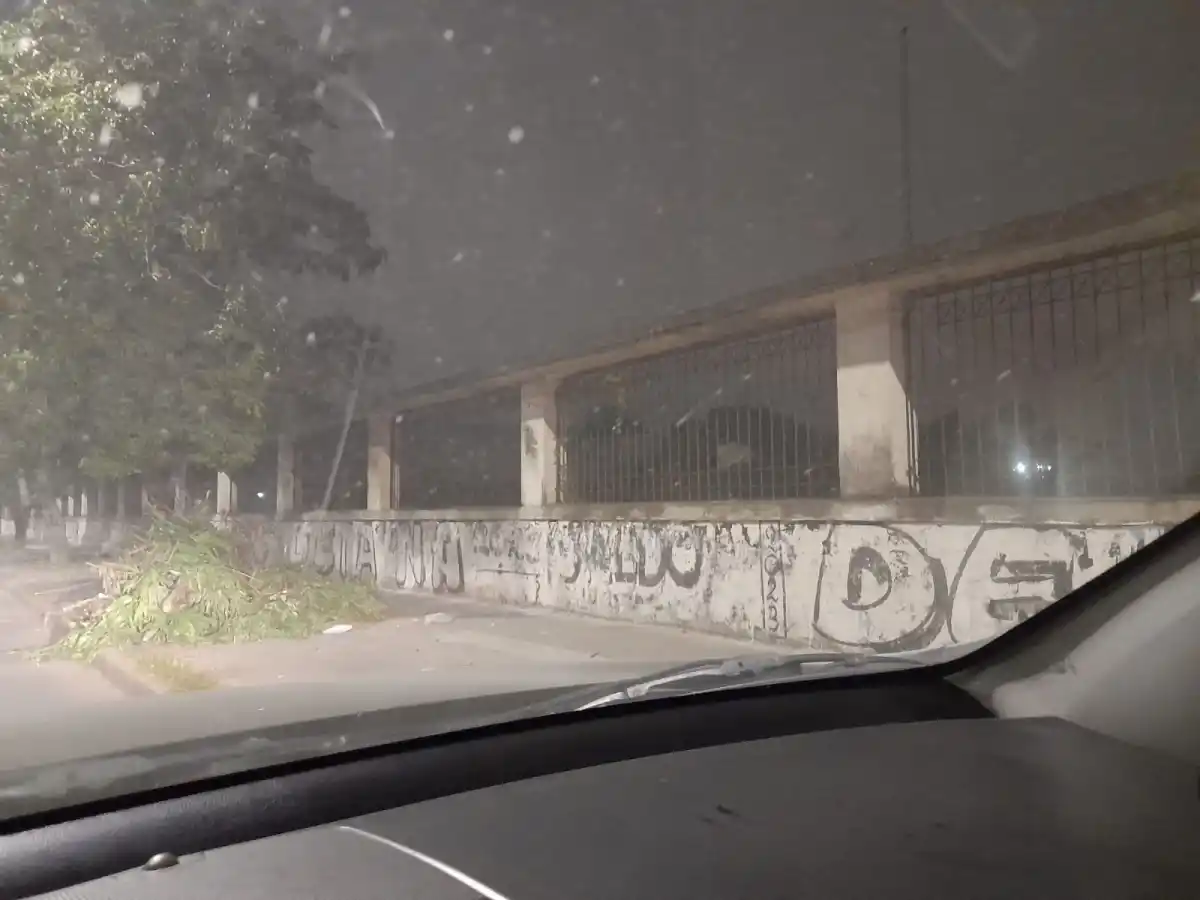 Paredes de la Quinta Agronómica