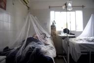 Dengue: ¿cómo actúa el virus en el organismo?