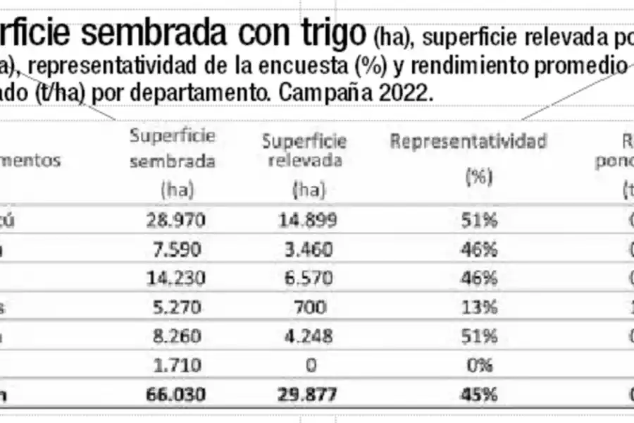 De 2021 al año pasado, el rinde medio del trigo en Tucumán disminuyó casi 0,2 t/ha