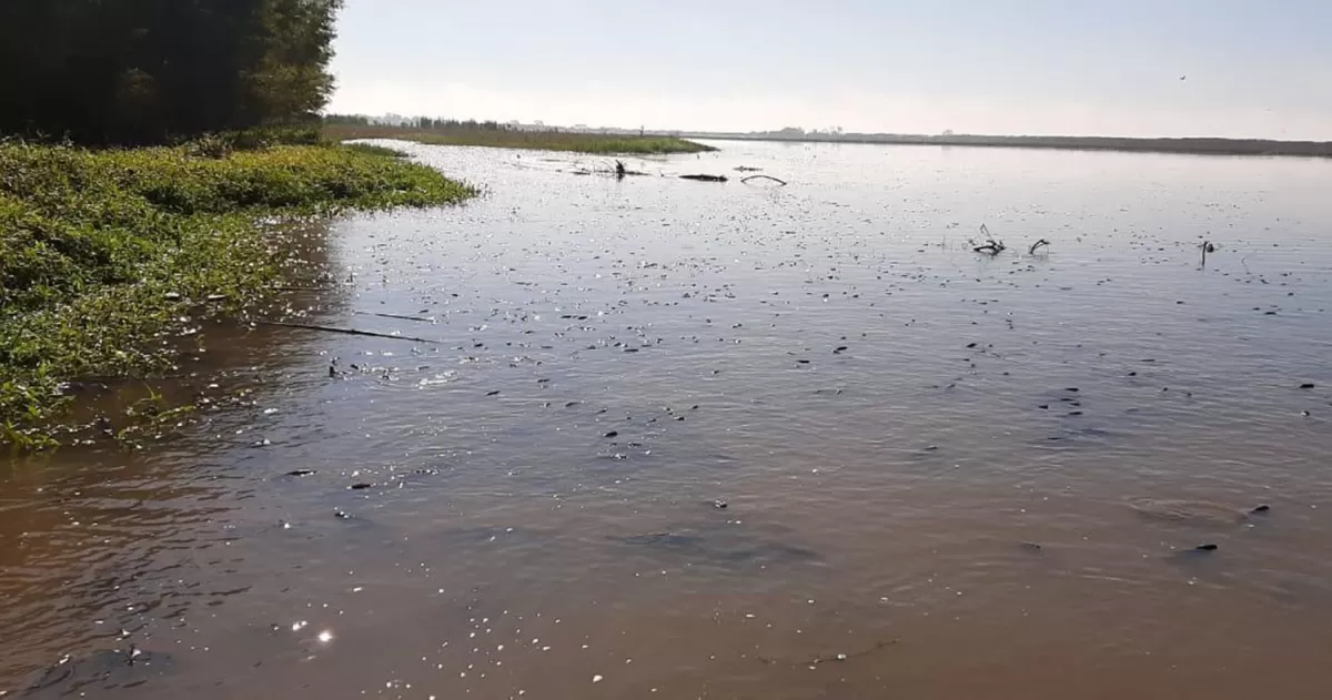 Medio Ambiente cuestionó la denuncia por contaminación en el río Salí