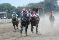 Turf: Pertinax Joy prevaleció en un final para el infarto