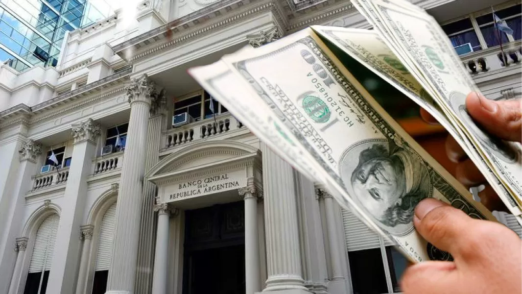 Los cuatro motivos por los que el Banco Central inhabilitará cuentas de ahorro en dólares