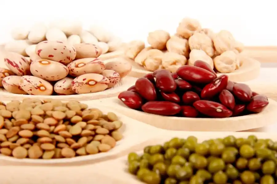 Científicos de Harvard revelan el alimento que no puede faltar en la dieta diaria