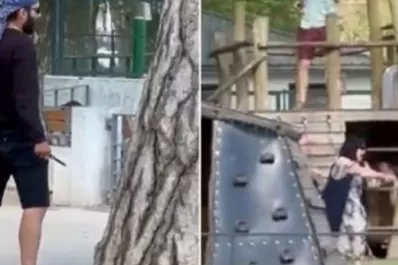 Horror en Francia: un hombre apuñaló a cuatro niños y a dos adultos en un parque